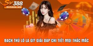 Bạch Thủ Lô Là Gì? Giải Đáp Chi Tiết Mọi Thắc Mắc