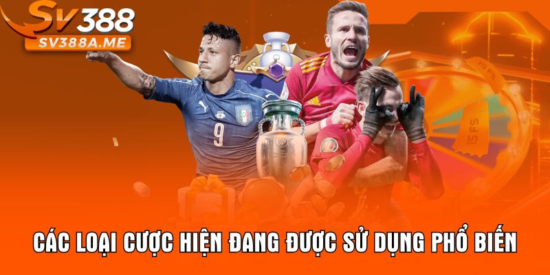 Các loại cược hiện đang được sử dụng phổ biến