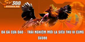 Đá Gà Cựa Dao – Trải Nghiệm Mới Lạ Siêu Thú Vị Cùng SV388