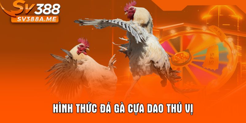 Hình thức đá gà cựa dao thú vị
