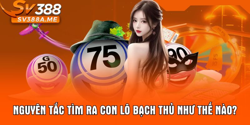 Nguyên tắc tìm ra con lô bạch thủ như thế nào?