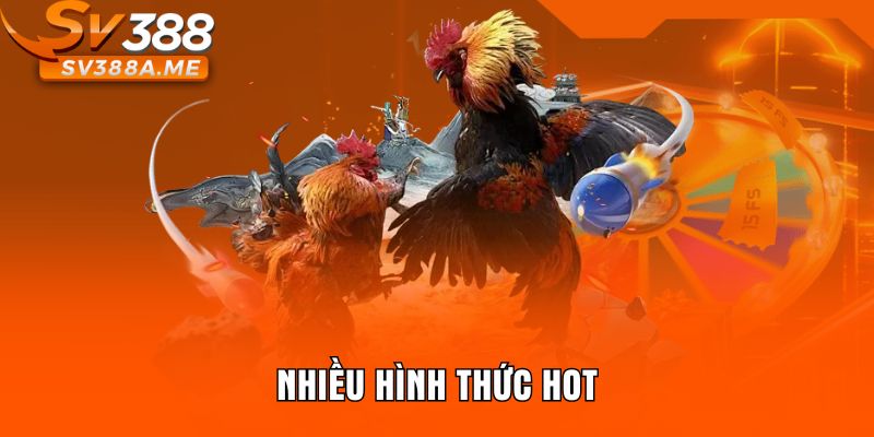 Nhiều hình thức hot