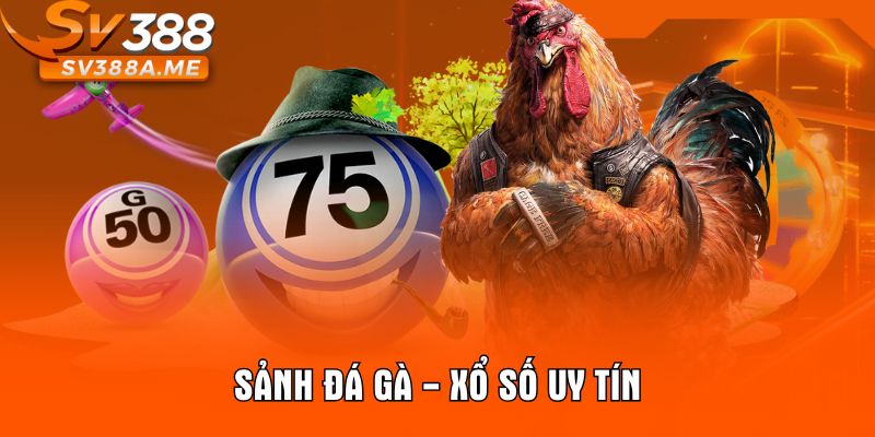 Sảnh đá gà - xổ số uy tín